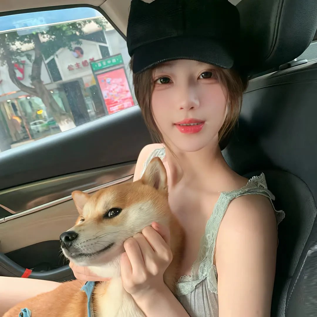 傲娇与偏见